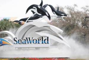 Услуги гида в парке SeaWorld Orlando, $ 200, Орландо