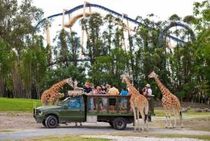 Guide services at Busch Gardens Tampa, Tampa